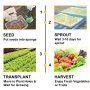 VEVOR Hydroponic Grow Kit 36 Sites 4 Pipes Hydroponic Planting Equipment Ebb and Flow Deep Water Culture Balcony Garden System Vegetable Tool Grow Kit
