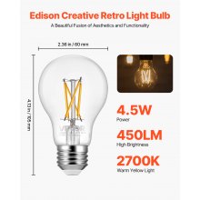 6 Pack Edison Bulbs LED A19 4.5W Dimmable 450 Lumens 2700K E26 Antique