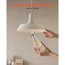 6 Pack Edison Bulbs LED A19 4.5W Dimmable 450 Lumens 2700K E26 Antique