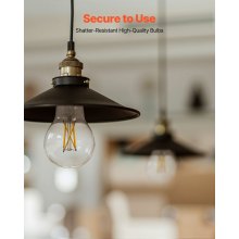 6 Pack Edison Bulbs LED A19 4.5W Dimmable 450 Lumens 2700K E26 Antique
