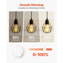 6 Pack Edison Bulbs LED ST19 7W Dimmable 800 Lumens 2700K E26 Antique