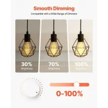 6 Pack Edison Bulbs LED ST19 7W Dimmable 800 Lumens 2700K E26 Antique