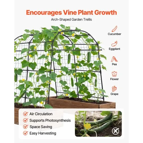 giant fiddle leaf fig Fiddle Leaf Fig Potted Houseplant | Trendy Houseplants