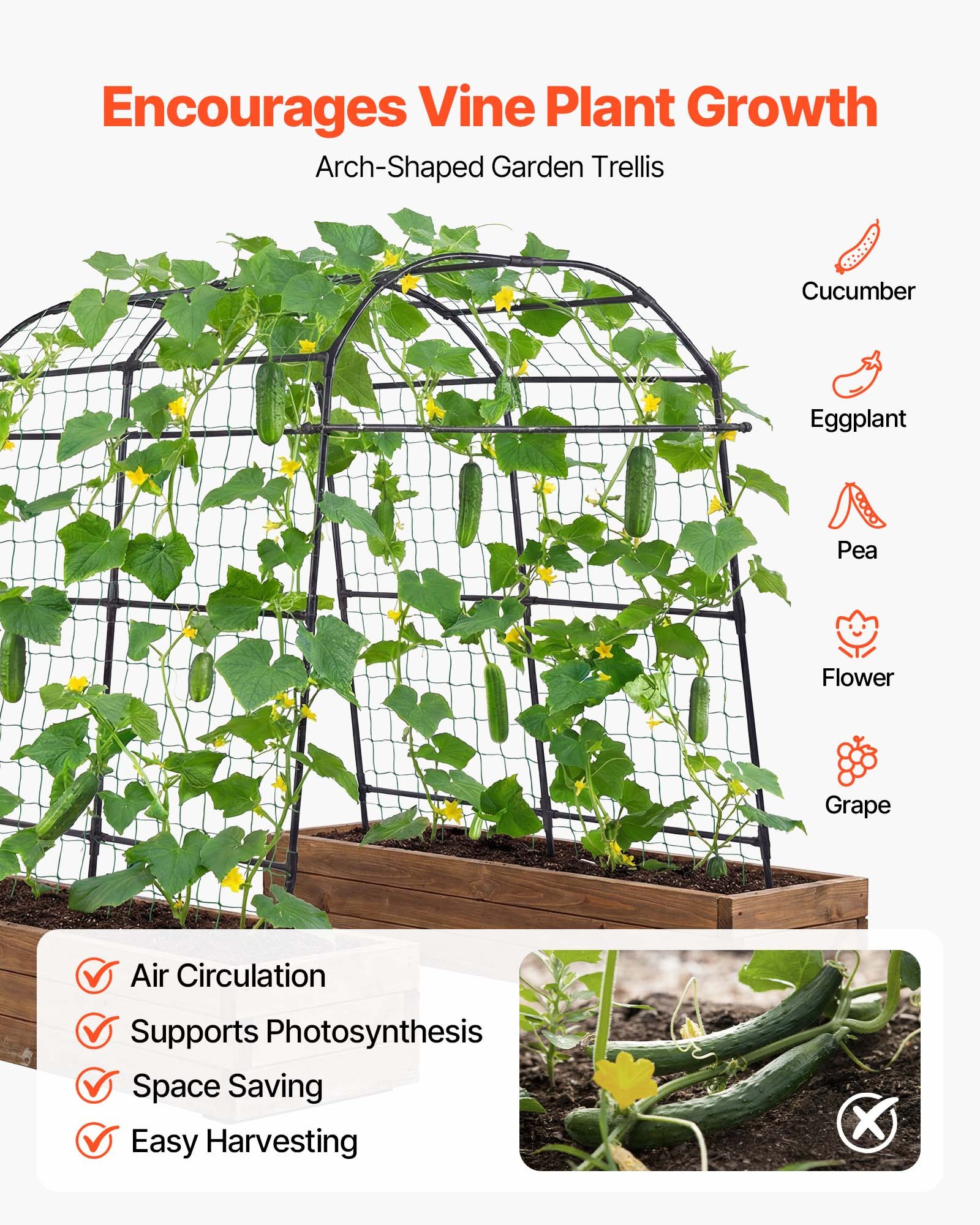 VEVOR Cucumber Trellis, U-Shape Garden Trellises for Raised Bed, Metal Arch Plant Support for Vine, Climbing Plants Outdoor, Peas, Beans, Zucchini, Tomato, Squash, Flower (1800 x 1120 x 2108 mm)