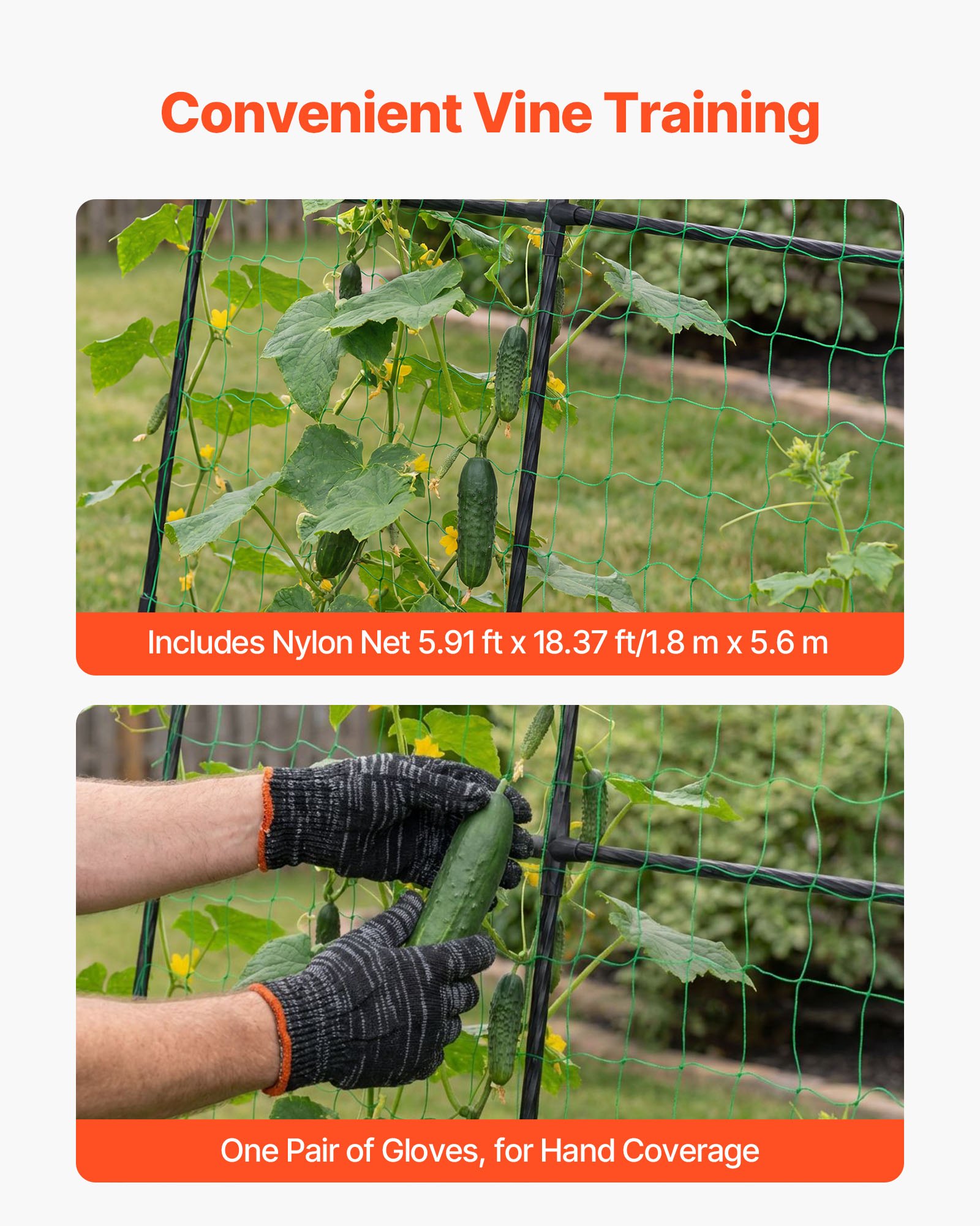 VEVOR Cucumber Trellis, U-Shape Garden Trellises for Raised Bed, Metal Arch Plant Support for Vine, Climbing Plants Outdoor, Peas, Beans, Zucchini, Tomato, Squash, Flower (1800 x 1120 x 2108 mm)