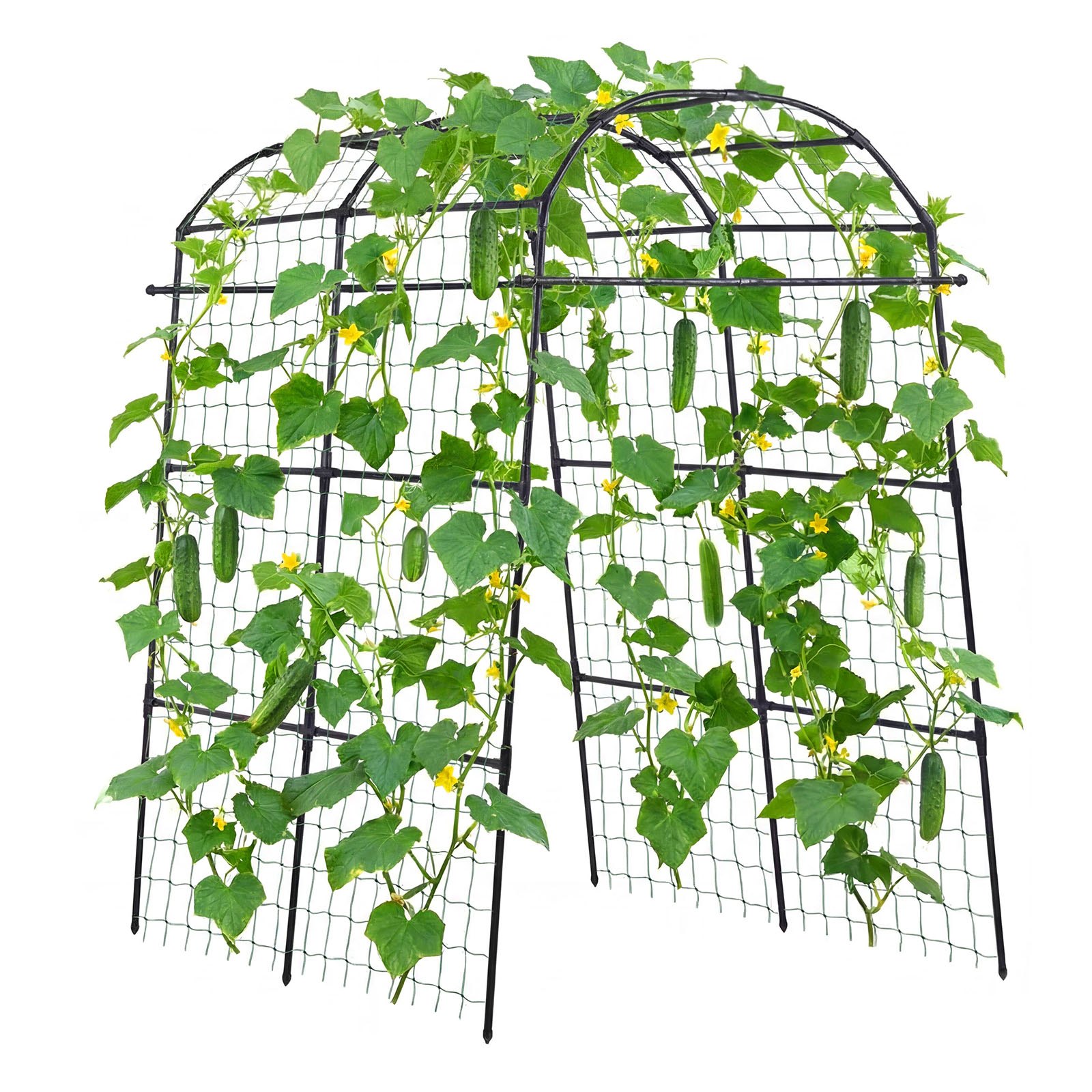 VEVOR Cucumber Trellis, U-Shape Garden Trellises for Raised Bed, Metal Arch Plant Support for Vine, Climbing Plants Outdoor, Peas, Beans, Zucchini, Tomato, Squash, Flower (1800 x 1120 x 2108 mm)