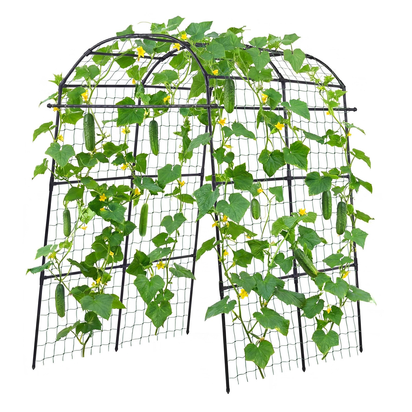 VEVOR Cucumber Trellis, U-Shape Garden Trellises for Raised Bed, Metal Arch Plant Support for Vine, Climbing Plants Outdoor, Peas, Beans, Zucchini, Tomato, Squash, Flower (1800 x 1120 x 2108 mm)