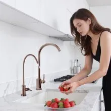 VEVOR Ro Water Faucet, Lead-Free Stainless Steel Faucet, Drinking Water Faucets with Solid Brass Valve, Anti-Rust & Durability Drinking Water Faucets For Kitchen, Bar Counter, Cafe, Antique Bronze
