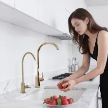 VEVOR Stainless Steel Faucet, Lead-Free Water Purifier Faucet, Filter Water Faucets With Solid Brass Valve, Anti-Rust & Durability Ro Water Faucets For Kitchen, Bar Counter, Cafe Shop, Brushed Gold