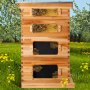 VEVOR Beehive Box Kit Bee Honey Hive 40 Frames 2 Deep 2 Medium Natural Fir Wood