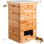 Deep Box x 2+ Medium Box x 2