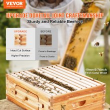 VEVOR Bee Hive Kit de inicio de caja mediana, 100% madera de cedro natural recubierta de cera de abejas, kit de colmena Langstroth con 10 marcos y cimientos, ventanas de abejas acrílicas transparentes para principiantes y apicultores profesionales