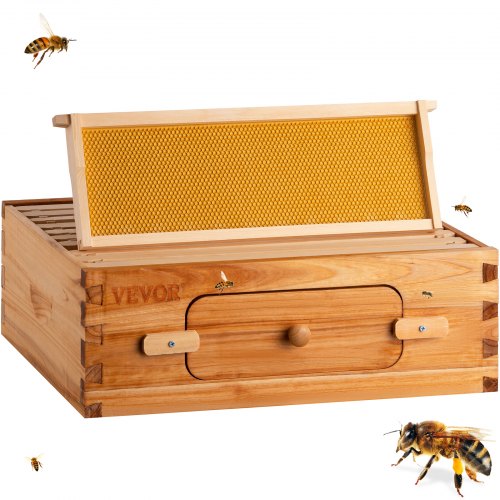 VEVOR Beehive Box Kit Bee Honey Hive 10 Frames 1 Medium Beeswax Natural Fir Wood