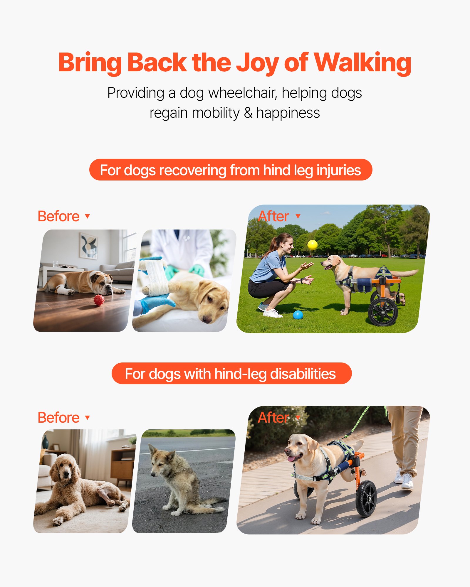 VEVOR Dog Wheelchair for Back Legs, Lightweight 2 Wheels Pet Wheelchair, Height, Width & Length Adjustable, Dog Cart with Shock-Absorbing Wheels, for Injured, Disabled Dogs 15.8-21.7 kg, Medium