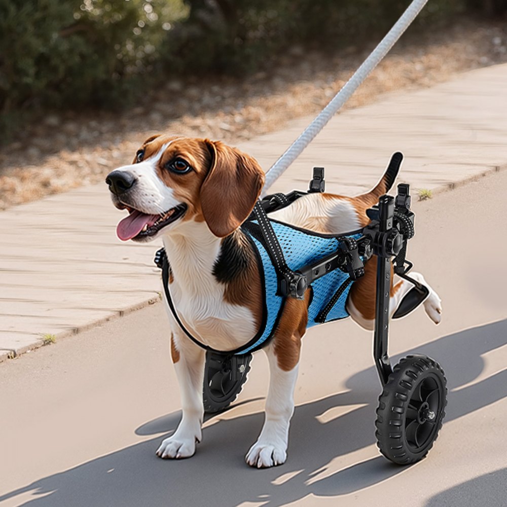 VEVOR Dog Wheelchair for Back Legs, Adjustable 2 Wheels Pet Wheelchair, Lightweight  Dog Cart with Shock-Absorbing Wheels, Mobility Support Wheel Chair for Disabled Injured Dogs up to 10kg, Small