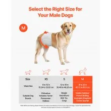 VEVOR Disposable Male Dog Diapers Super Absorbent Male Dog Wraps M Size 96 Count