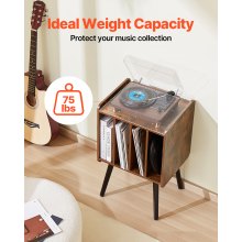 VEVOR Record Player Stand 2-Tier Wood Vinyl Record Stand up to 100 Albums Brown