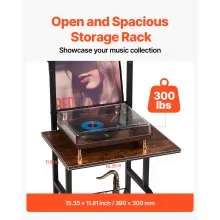 5 Tiers Record Player with LED Light & USB Ports Metal Vinyl Shelf Black