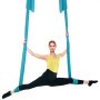 VEVOR Aerial Silk & Yoga Swing, 11 Yards, Aerial Yoga Hammock Kit with 100gsm Nylon Fabric, Full Rigging Hardware & Easy Set-up Guide, Antigravity Flying for All Levels Fitness Bodybuilding, Blue