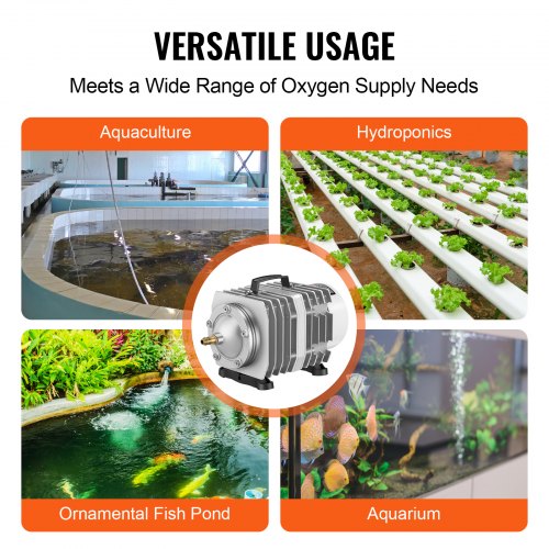 Multi-Zone Heating for Large Aquariums: Ultimate Temperature Control Guide