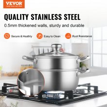VEVOR Steamer Pot, 8.66in/22cm Steamer Pot for Cooking with 3QT Stock Pot and Vegetable Steamer, Large Capacity Stainless Steel Food Steamer Cookware with Lid for Gas Electric Induction Grill Stove