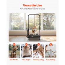 Dog Treadmill for Medium Dogs Electric Pet Treadmill for Agility Training