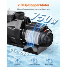 2 HP Above Ground Swimming Pool Pump Single Speed 122 GPM 3450 RPM 220V