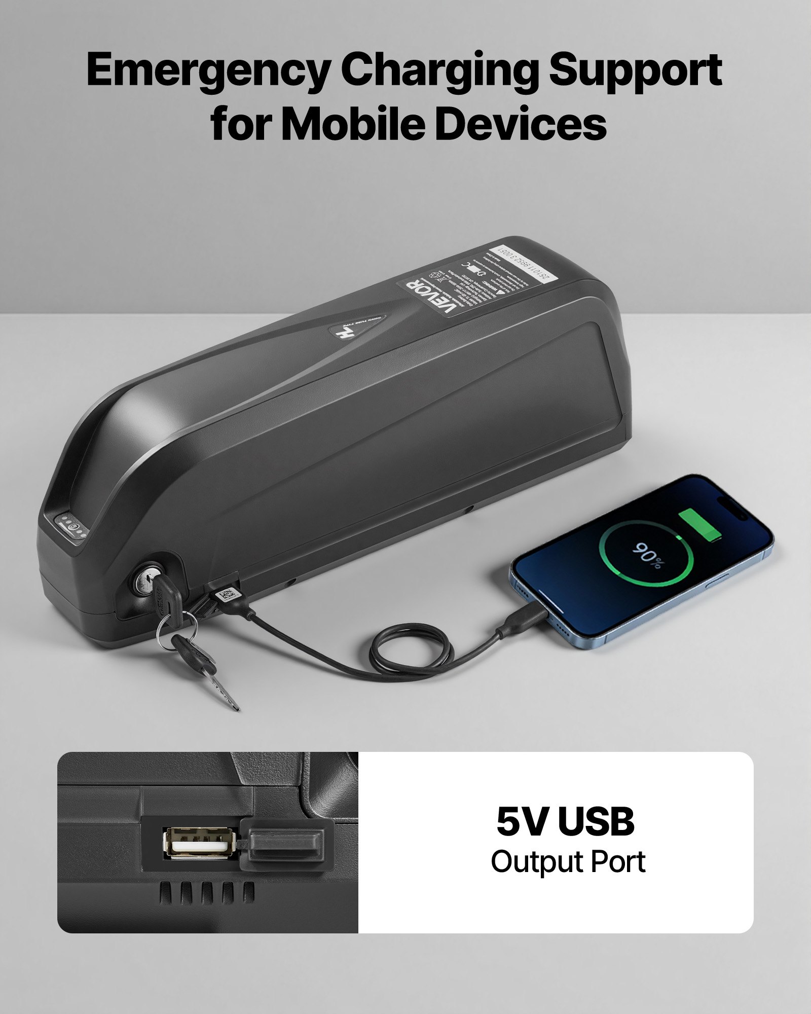 VEVOR Ebike Battery, 48V 20Ah Electric Bike Lithium Battery Pack with BMS, USB Charge Port, 3A Charger & Lock for 1500W E-Bike Motor, Detachable Electric Bicycle Replacement Kit with Discharge Socket