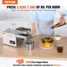 VEVOR Electric Oil Press Machine, 850W Stainless Steel Oil Extractor Machine, 0-300℃ / 32 - 572 ℉ Adjustable Temperature, Hot Press Oil Expeller for Pressing Peanuts, Sesame Seeds, Rapeseed, Tea Seeds
