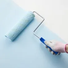 Kit de rodillos de pintura de 19 piezas, rodillos de pintura de 4 y 9 pulgadas con bandeja de pintura