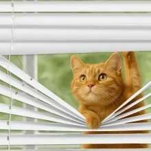 Mini Blinds 35" W x 48" H 1" Slat Cordless Horizontal Light Filtering Mini Blind