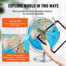 VEVOR Educational Globe for Kids, 10 in/254 mm, Interactive AR World Globe with AR Golden Globe APP LED Night Lighting 720° Rotation, STEM Toy Gifts for Kids Compatible with Android or iOS Devices