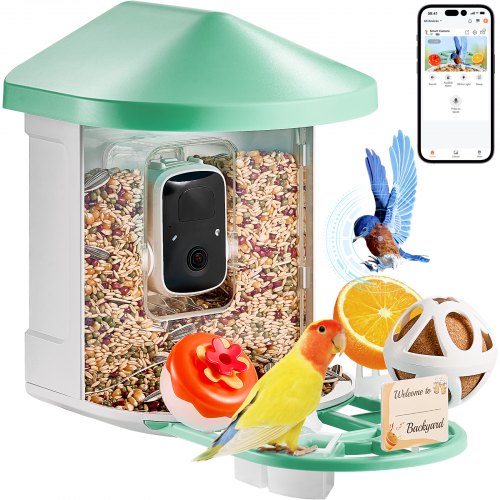 What Camera for Bird Feeder: Top Picks for Stunning Wildlife Shots