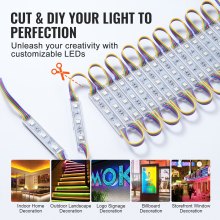 VEVOR 200PCS LED Storefront Lights, 103 ft, LED Module Lights, 5050 SMD 3-LED RGB Color Changing Window Lights with Remote Control for Business Store Window Advertising Letter Signs, IP68 Waterproof