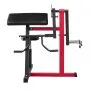VEVOR Preacher Curl Machine, 2 in 1 Bicep Curl Machine and Triceps Extension Machine, Seated Arm Isolated Bicep Station, Strength Training Workout Weight Bench, Exercise Equipment for Home Gym