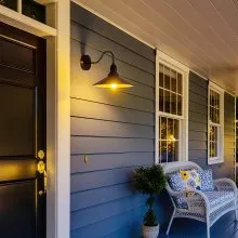 Outdoor Barn Light 11.5 in Farmhouse Gooseneck Exterior Wall Sconce Porch Black