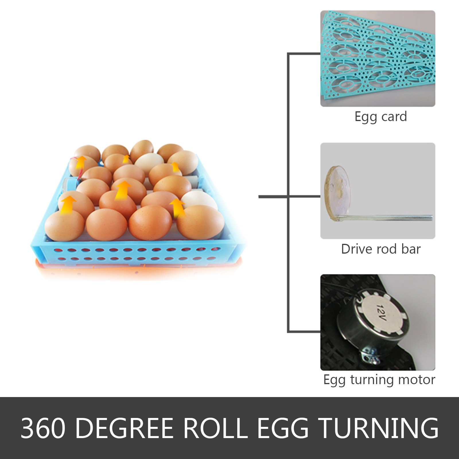 16 Egg Incubator Digital Automatic Turner Mini Hatcher Home Use Temperature Control Hatching