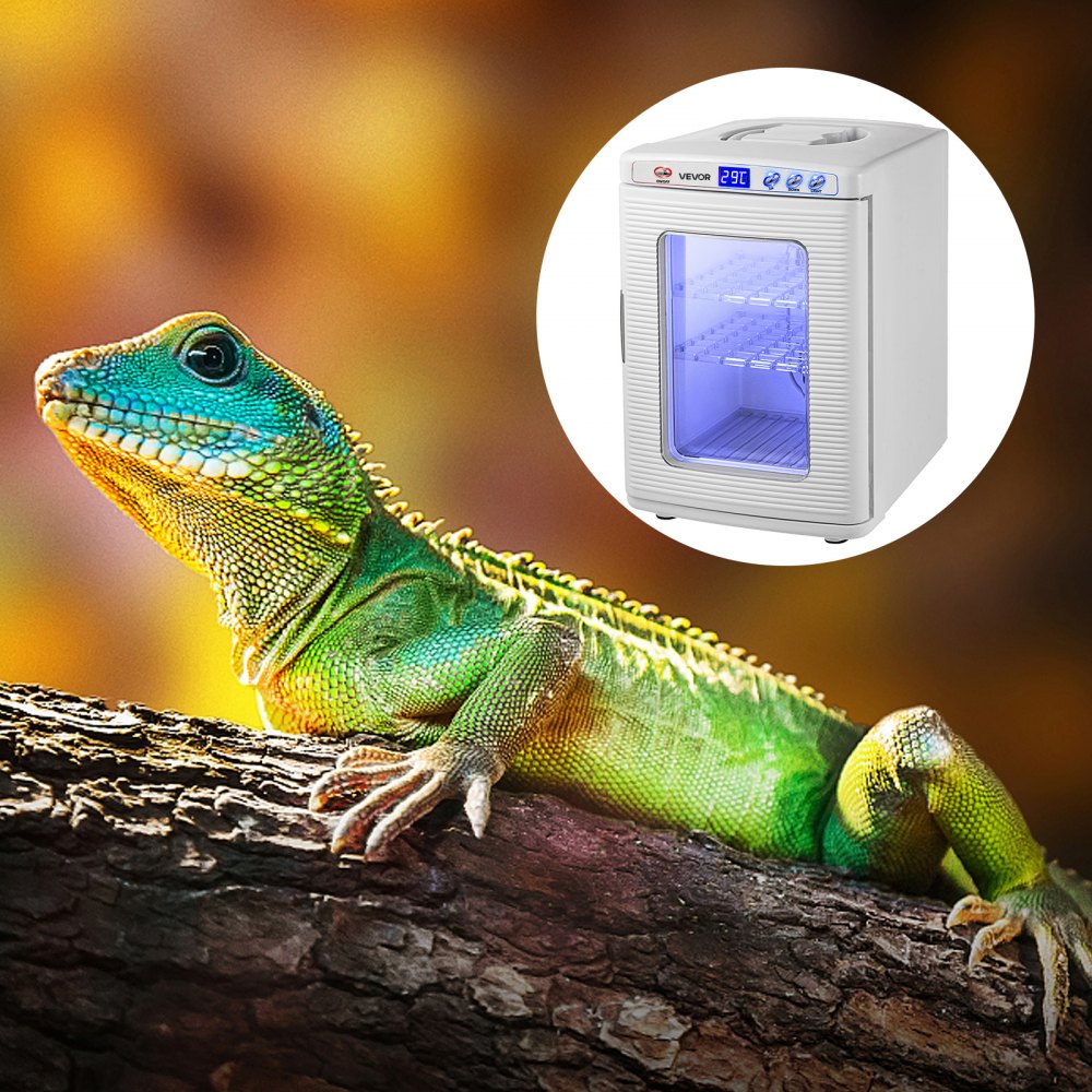 VEVOR Reptile Incubator, 25L Scientific Lab Incubator, Cooling and Heating 5 °C to 42 °C Automatic Incubator, 12V/110V White Reptile Egg Breeding Hatchery Work for Thermostats Snakes and Turtles