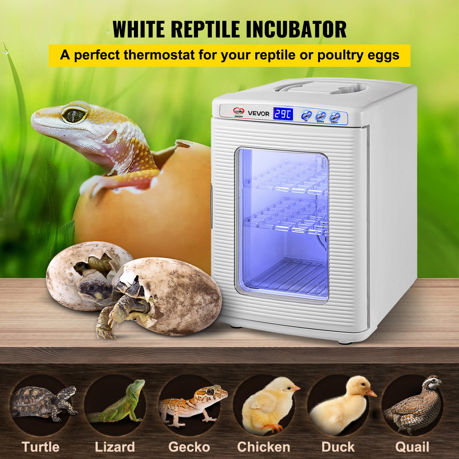 VEVOR Reptile Incubator, 25L Scientific Lab Incubator, Cooling and Heating 5 °C to 42 °C Automatic Incubator, 12V/110V White Reptile Egg Breeding Hatchery Work for Thermostats Snakes and Turtles