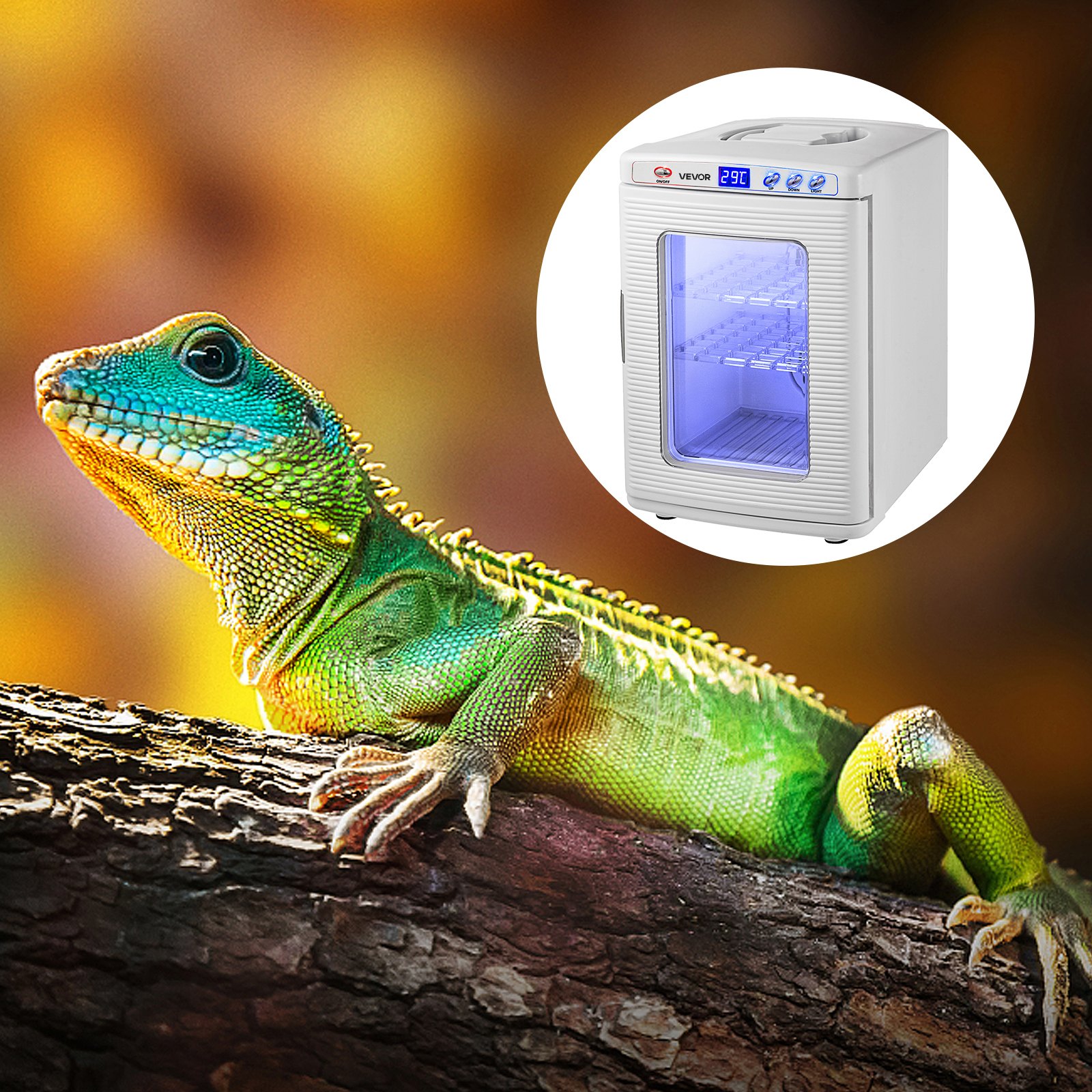 VEVOR Reptile Incubator, 25L Scientific Lab Incubator, Cooling and Heating 5 °C to 42 °C Automatic Incubator, 12V/110V White Reptile Egg Breeding Hatchery Work for Thermostats Snakes and Turtles