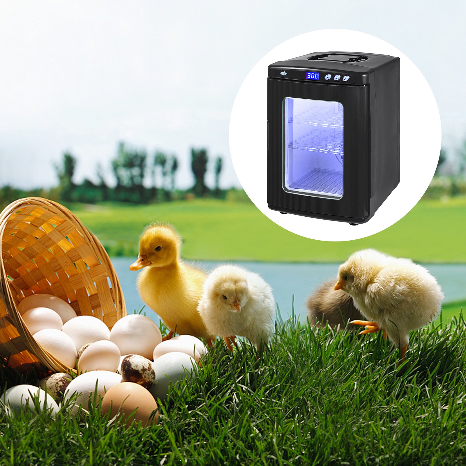 VEVOR Reptile Egg Incubator and Hatcher 25L Black Reptile Egg Incubator 5-42°C Scientific Hatcher Heating Bright LED Digital Display for Small Animals
