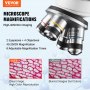 VEVOR Binocular Compound Microscope, 40X-2500X Magnification, Binocular Compound Lab Microscope with LED Illumination, Two-Layer Mechanical Stage, Includes Phone Holder & Microscope Slides