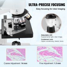VEVOR Microscope composé binoculaire, grossissement 40X-2500X, microscope de laboratoire composé binoculaire avec éclairage LED, scène mécanique à deux couches, comprend un support de téléphone et des lames de microscope