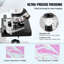 VEVOR Microscope trinoculaire composé, grossissement 40X-5000X, microscope de laboratoire composé trinoculaire avec éclairage LED et interface externe, platine mécanique à deux couches, comprend des lames de microscope