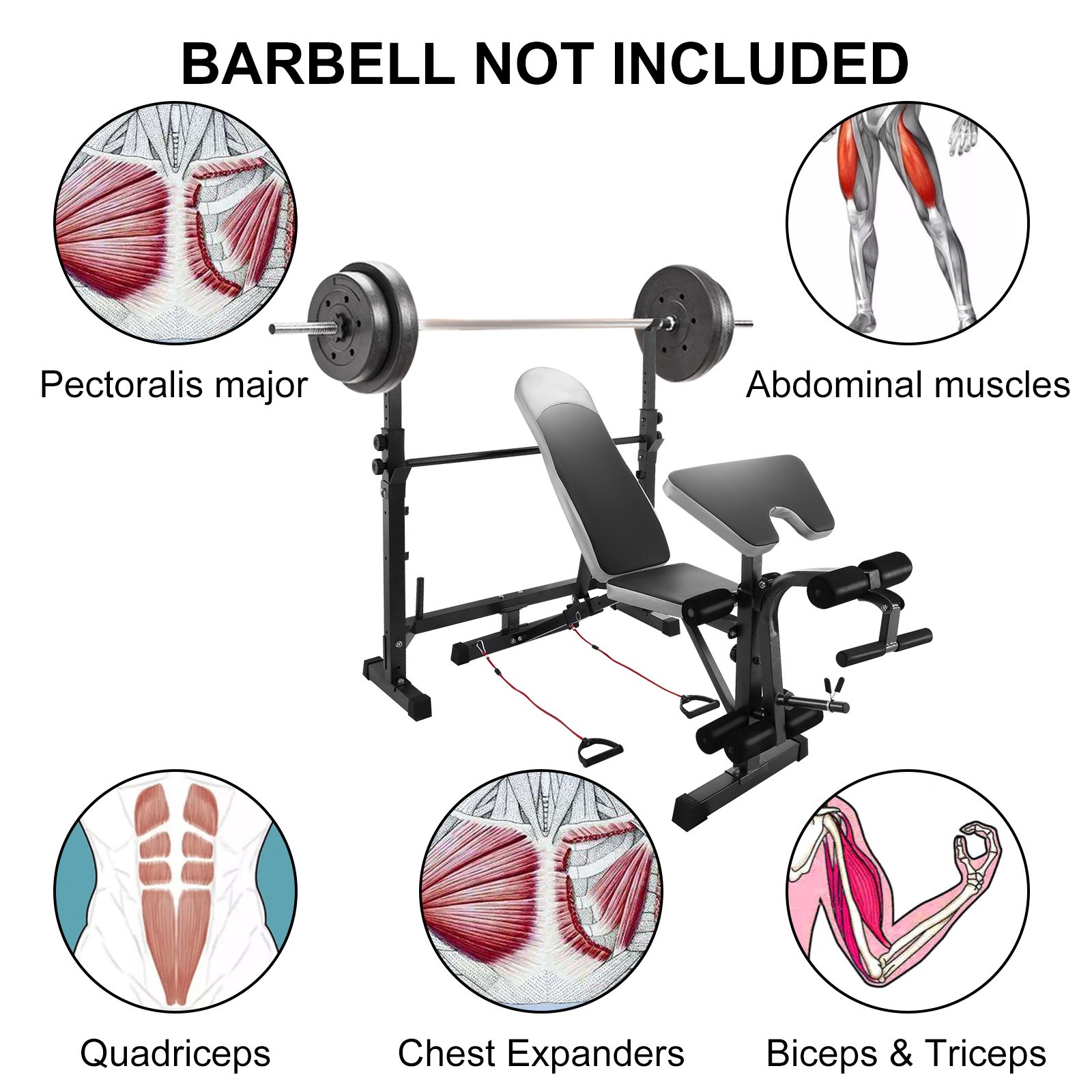 VEVOR Weight Bench 660LBS Weight Lifting Bench Weight Bench Adjustable Exercise Bench for Indoor Use Weight Bench Set with Leg Developer Workout Bench Split Type (Other)
