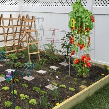 VEVOR Tomato Cages Plant Support Cage 5Pack Square Steel 3.8FT Silver for Garden