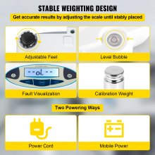 VEVOR Lab Scale Analytical Balance, 3000g x 0.01g Accuracy High Precision Lab Scale 13 Units Conversion Scientific Digital Laboratory Balance Scale for Lab, Jewelry, Industrial, Business(3000g, 0.01g)