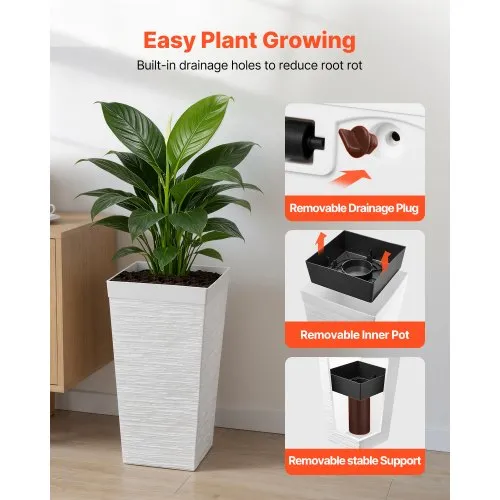 brasil pothos plant Shop 'Philodendron brasil' Care and Growing Guide main image 1