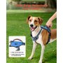 Dog Harness for Large Dogs No Pull Adjustable Dog Vest Pet Harness with Leash
