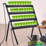 VEVOR Hydroponics Growing System, 36 Sites 4 Layers, Dark Grey PVC Pipes Hydroponic Grow Kit with Water Pump, Timer, Baskets and Sponges for Fruits, Vegetables, Herb